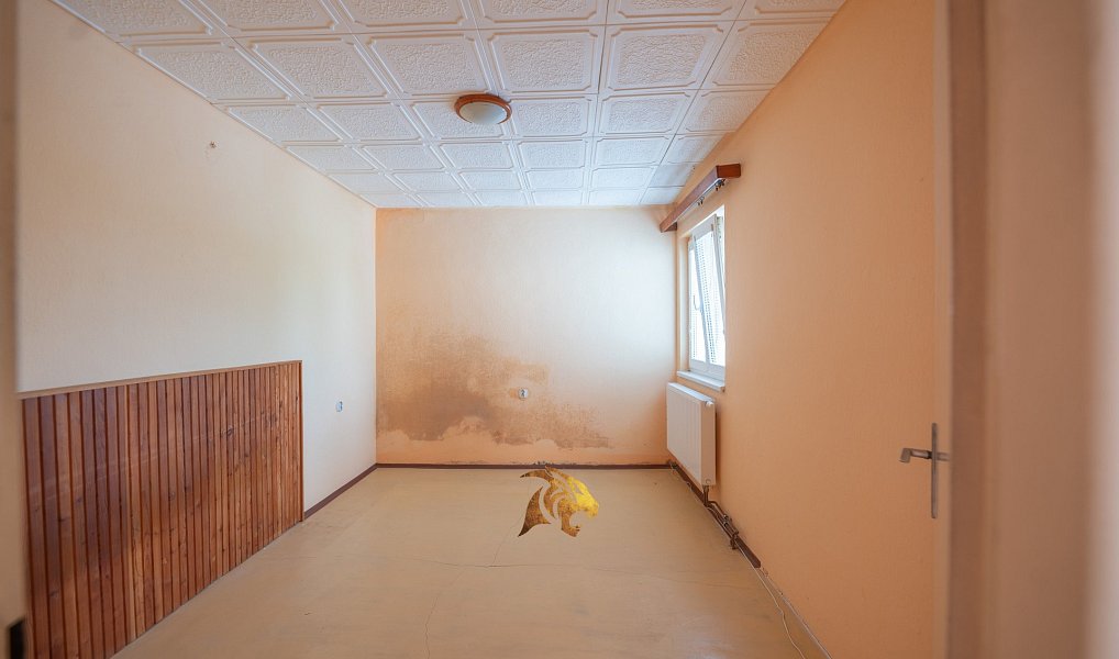 Prodej domu 170 m² s pozemkem 824 m², Sušice – náhled fotky 25