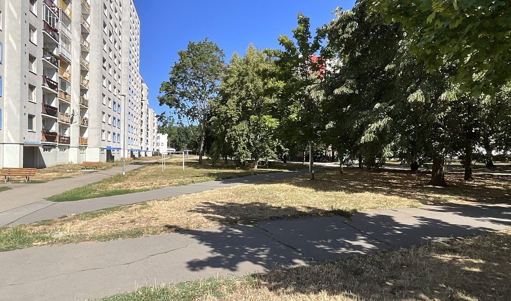 Prodej bytu 3+1 77 m², Pardubice – náhled fotky 14