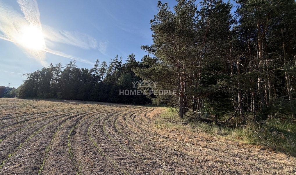 Prodej lesa 4 000 m², Háje – náhled fotky 9