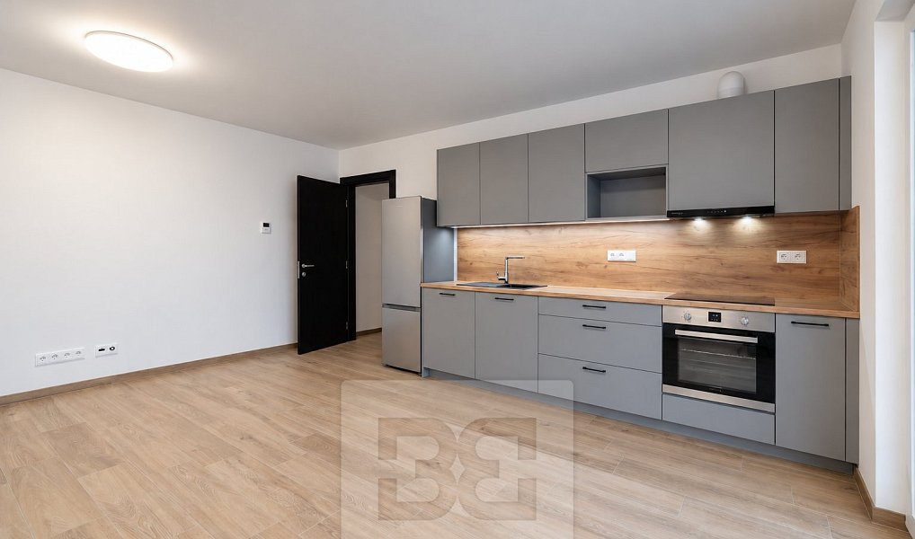 Pronájem bytu 2+kk 55 m², České Budějovice – náhled fotky 2
