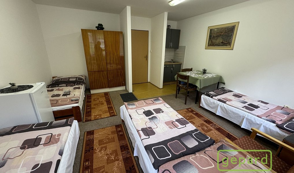 Prodej ubytovacího objektu 800 m², Český Krumlov – náhled fotky 14