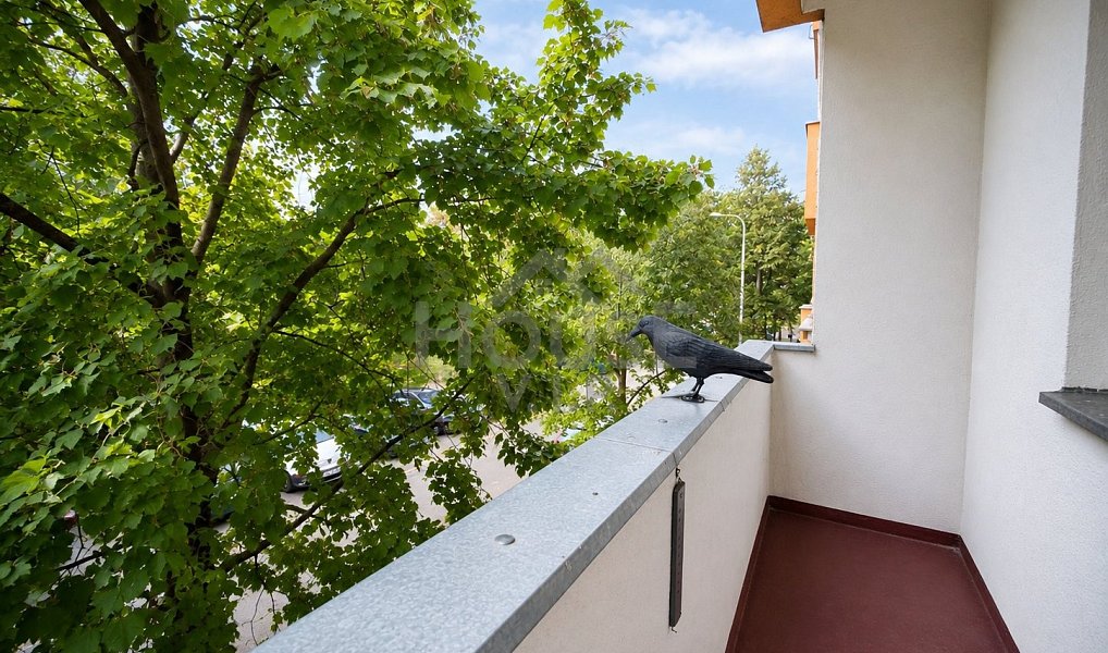 Prodej bytu 3+1 75 m², Praha – náhled fotky 9