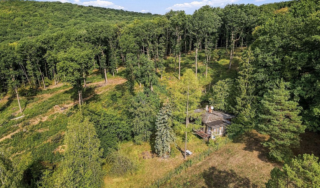 Prodej chaty/chalupy 75 m² s pozemkem 1 575 m², Radějov – náhled fotky 5
