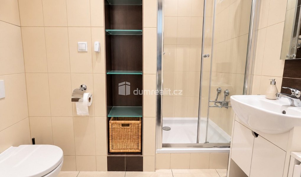 Pronájem bytu 1+1 30 m², Praha – náhled fotky 10