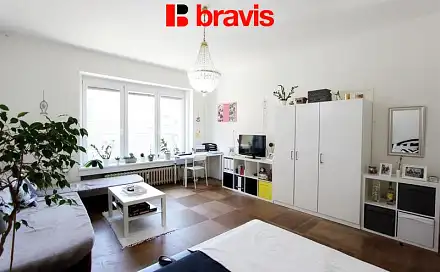 Pronájem bytu 1+1 53 m², Žižkova, Brno - Veveří