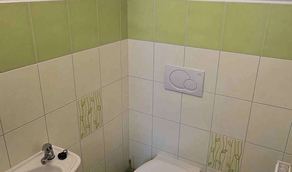Pronájem domu 130 m² s pozemkem 200 m², Osek – náhled fotky 26