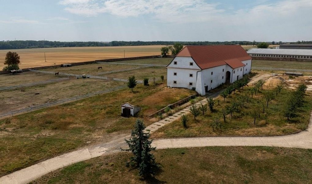 Prodej domu 5 889 m² s pozemkem 83 936 m², Vlasatice – náhled fotky 10