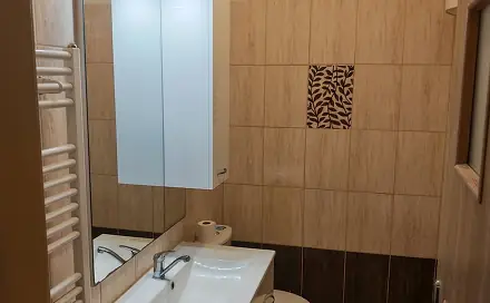 Pronájem bytu 1+1 38 m², Ke koupališti, Odry, okres Nový Jičín
