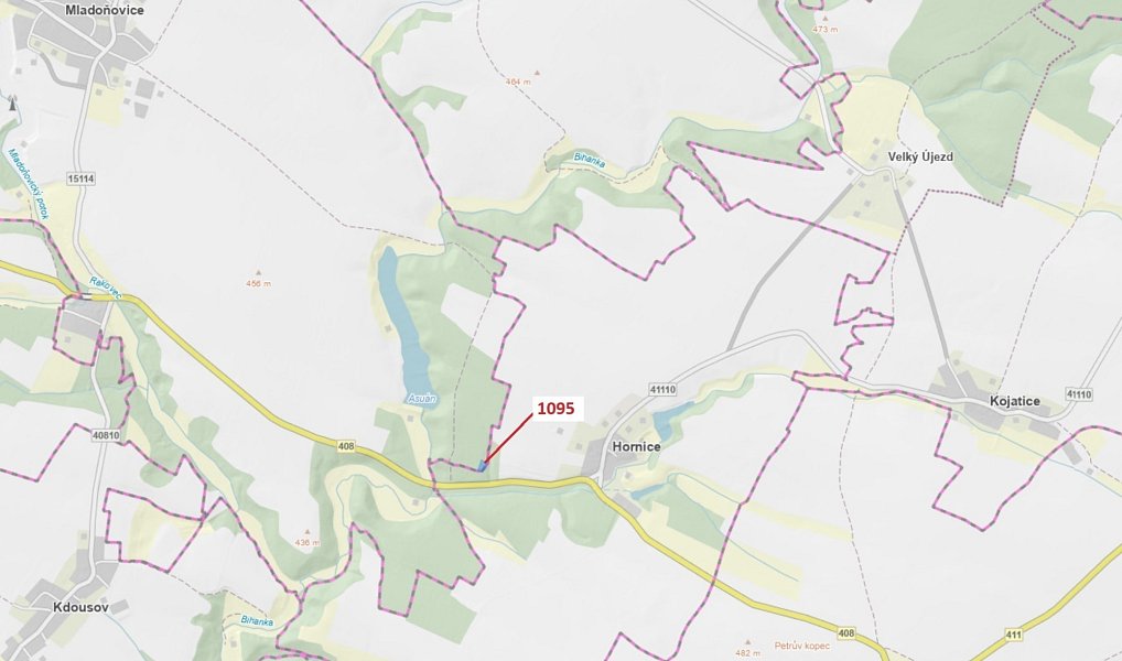 Dražba lesa, 1427 m², Třebíč, Hornice