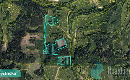 Prodej lesa 16 784 m², Bystřička, okres Vsetín