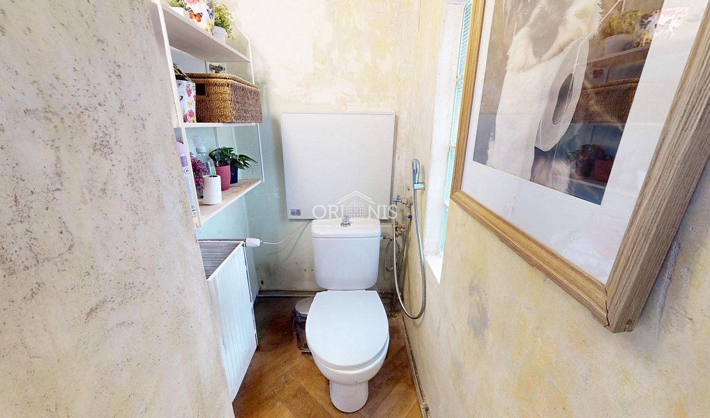 Prodej domu 266 m² s pozemkem 751 m², Braňany – náhled fotky 10