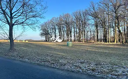 Prodej pole 2 400 m², Strančice - Kašovice, okres Praha-východ