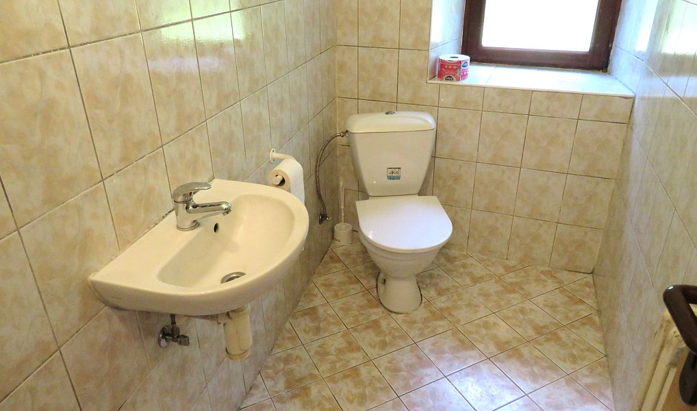 Prodej chaty/chalupy 194 m² s pozemkem 1 004 m², Černý Důl – náhled fotky 8