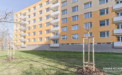 Pronájem bytu 2+kk 35 m², Fričova, Hradec Králové - Nový Hradec Králové