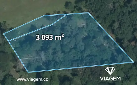 Prodej lesa 515 m², Vrchotovy Janovice, okres Benešov