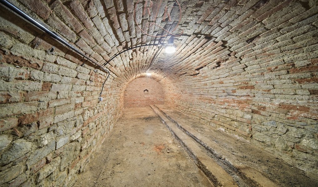 Autentický vinný sklep v srdci jižní Moravy, 153 m2, po kompletní rekonstrukci, obec Přítluky., Přítluky – náhled fotky 7