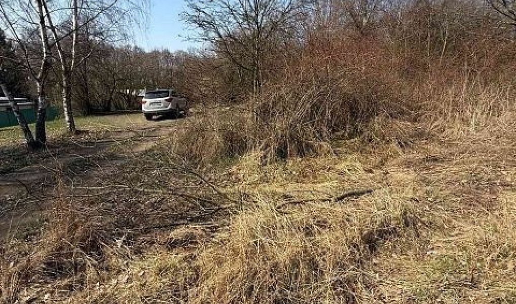 Prodej louky 651 m², Kostelec u Křížků – náhled fotky 6