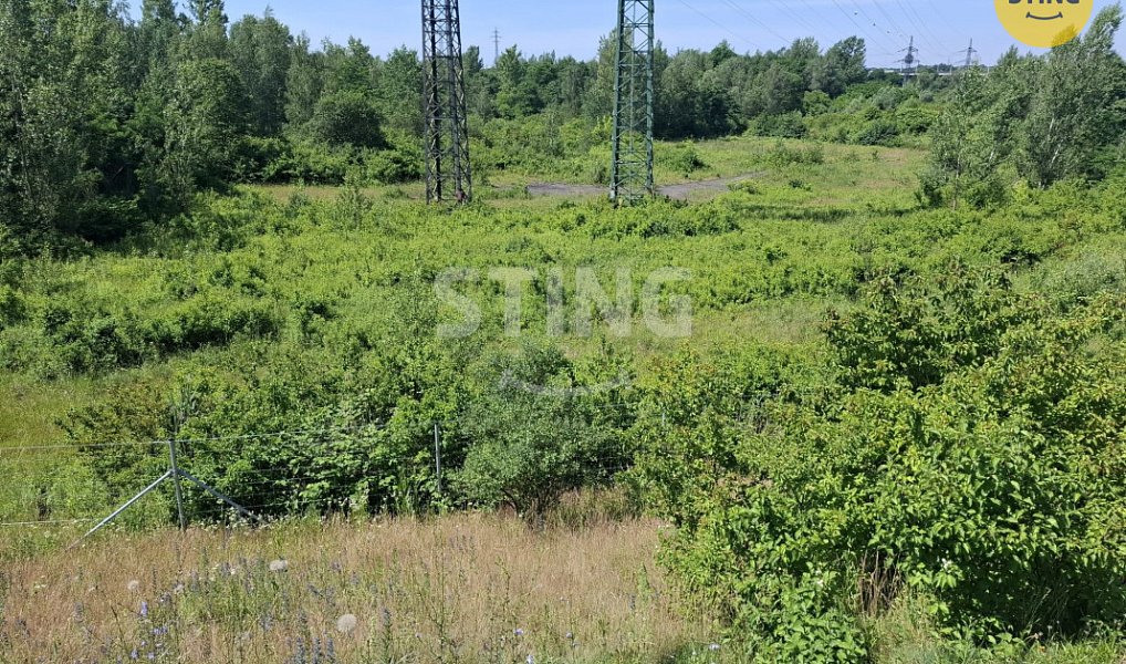 Pronájem lesa 29 433 m², Ostrava – náhled fotky 3