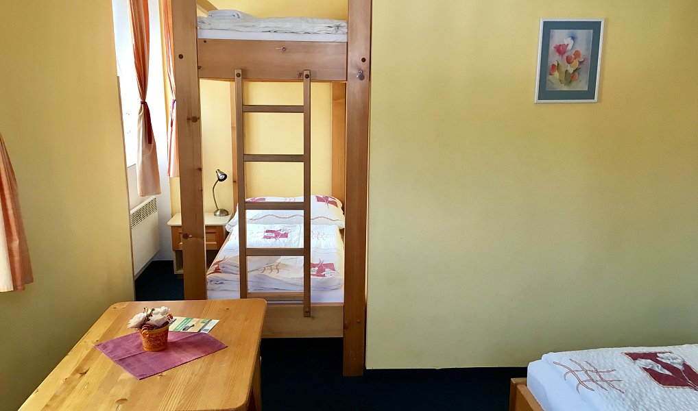 Prodej domu 400 m² s pozemkem 996 m², Český Krumlov – náhled fotky 9