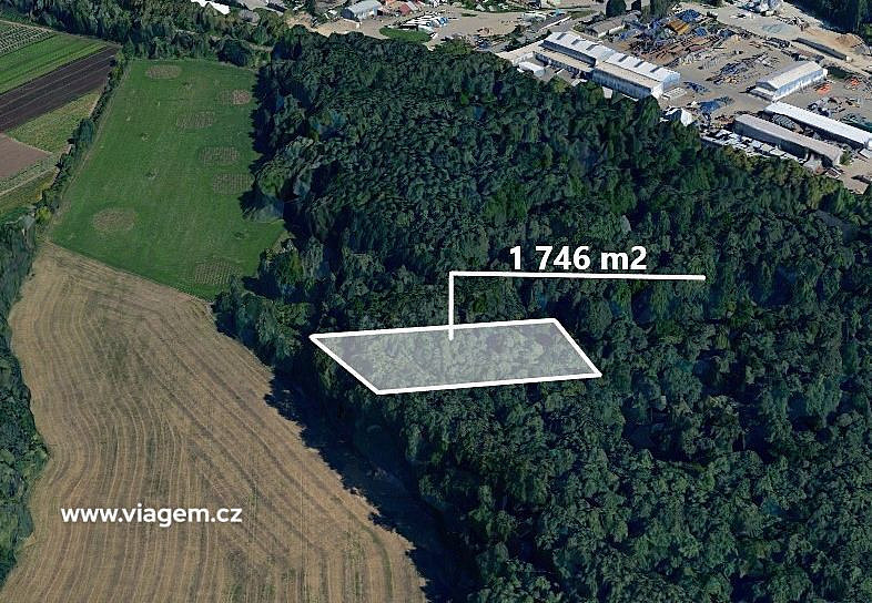 Prodej lesa 582 m²