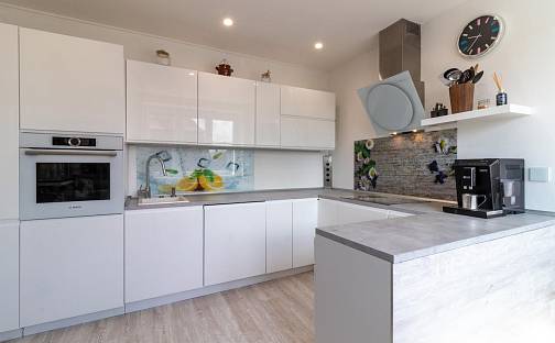 Prodej domu 225 m² s pozemkem 551 m², Měcholupy, okres Louny