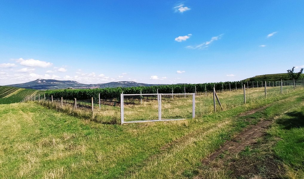 Prodej pozemku 90 769 m², Dolní Dunajovice – náhled fotky 2