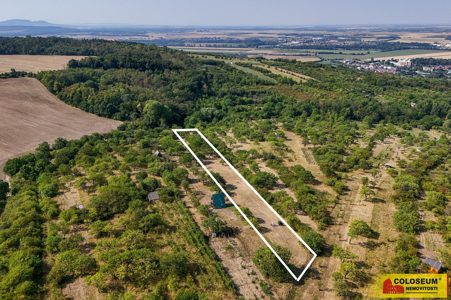 Prodej pole 4 149 m² – fotografie 2