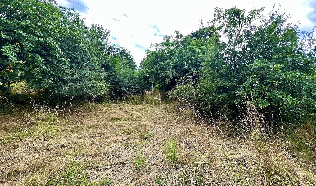 Prodej stavebního pozemku 2 410 m², Blížejov – náhled fotky 8