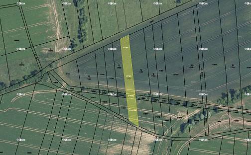 Prodej pole 1 464 m², Osvětimany, okres Uherské Hradiště