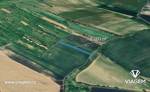 Prodej pole 1 160 m², Klobouky u Brna, okres Břeclav