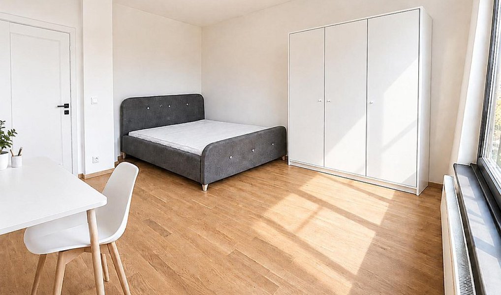 Pronájem bytu 2+kk 55 m², Praha – náhled fotky 6
