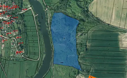 Prodej lesa 13 289 m², Břasy, okres Rokycany