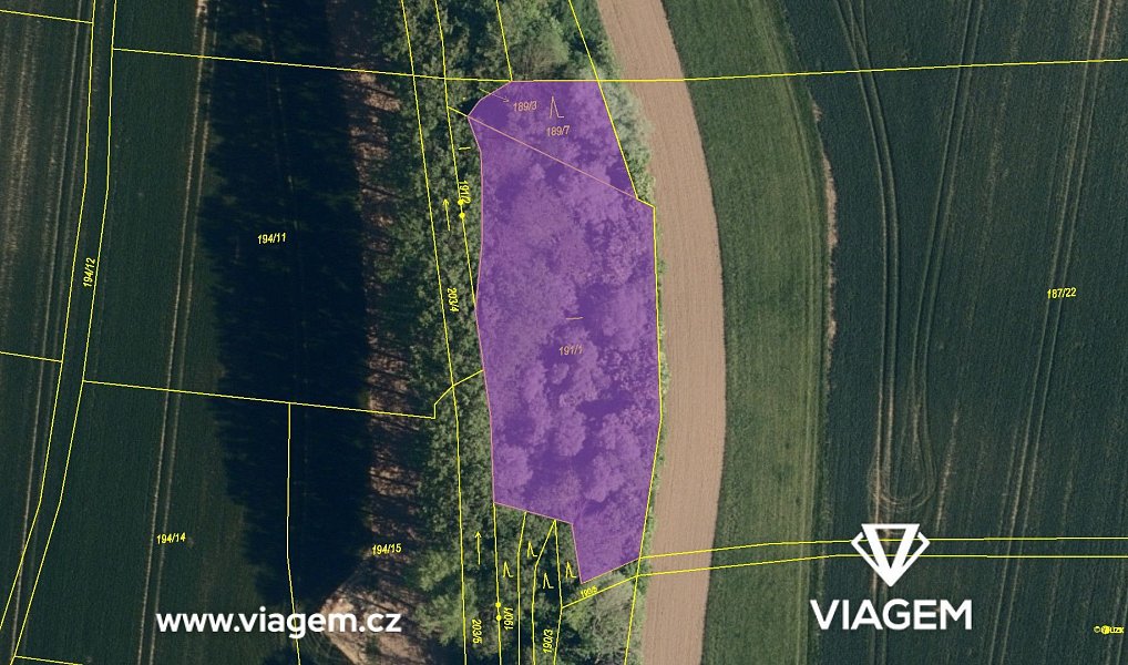 Prodej pole 2 277 m², Starý Jičín – náhled fotky 4