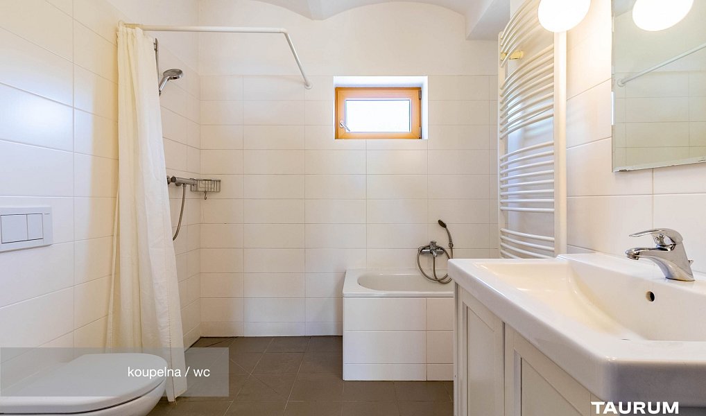 Prodej domu 97 m² s pozemkem 2 814 m², Poděvousy – náhled fotky 9