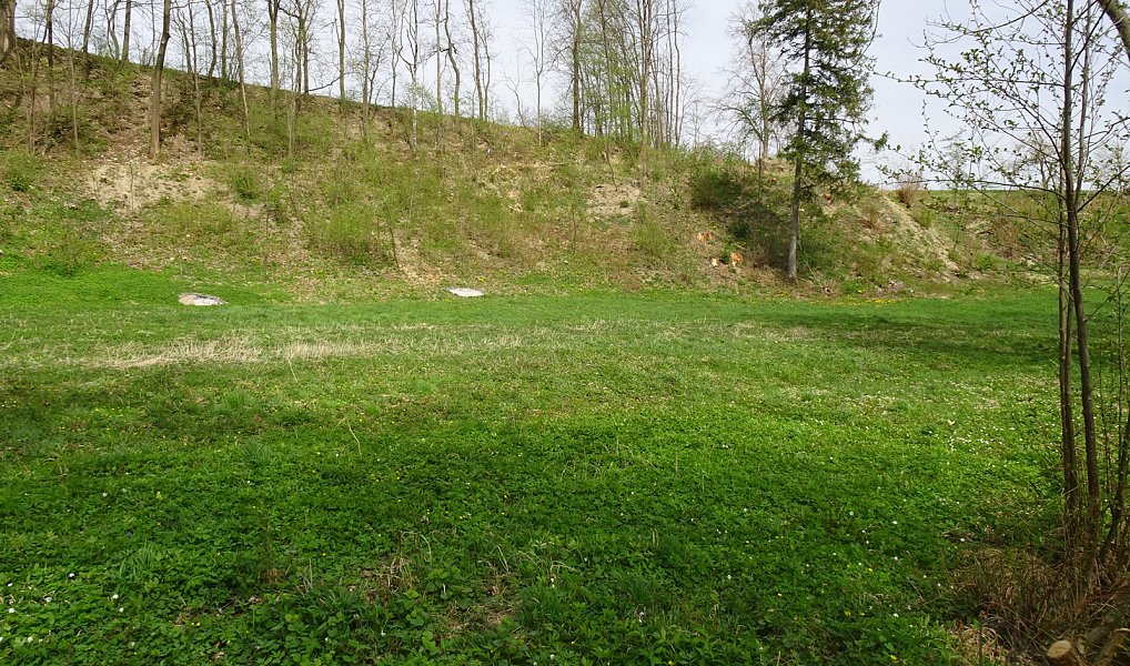 Prodej pozemku 5 086 m², Kvasiny – náhled fotky 3
