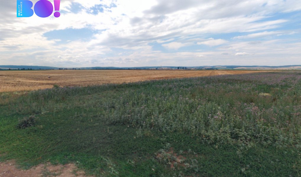 Prodej pole 7 577 m², Senice na Hané – náhled fotky 3
