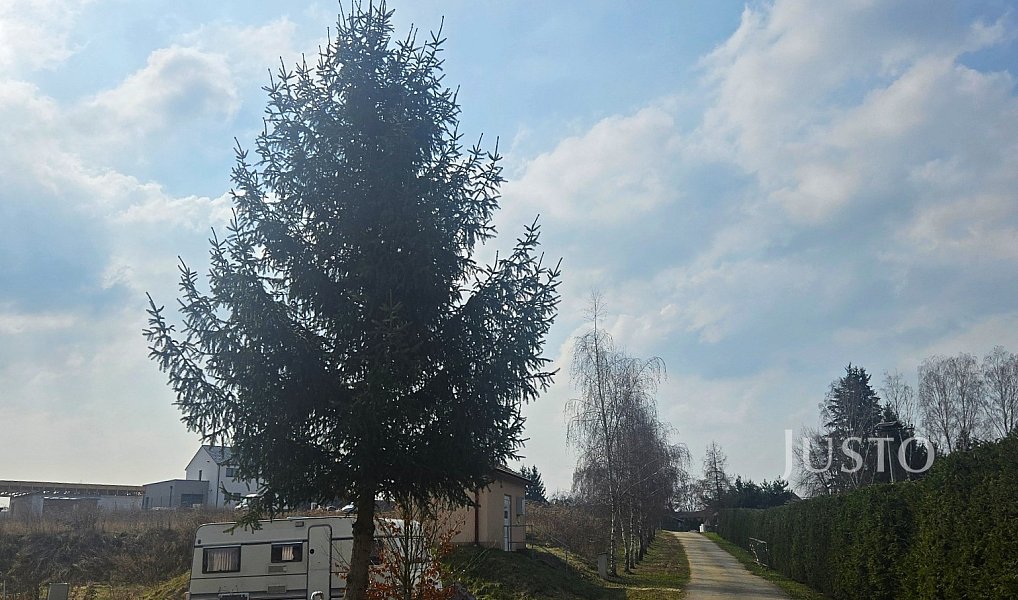 Prodej stavebního pozemku 1 164 m², Dobev – náhled fotky 13