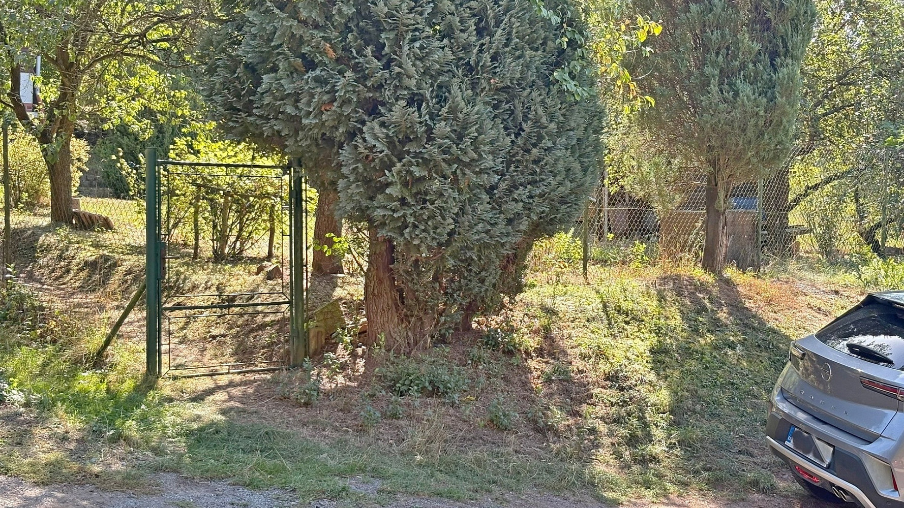 Fotka 29 z 30