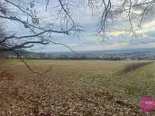 Prodej louky 27�123�m2