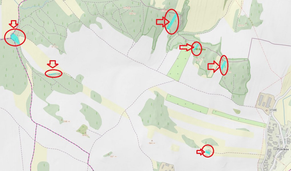 Prodej lesa 9 585 m², Dzbel – náhled fotky 19