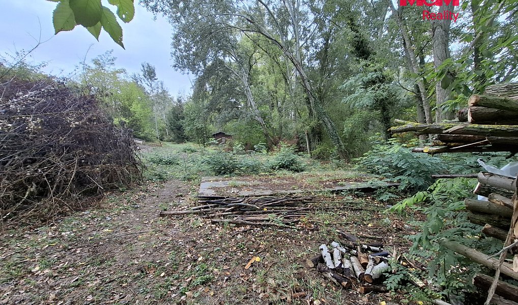 Prodej lesa 815 m², Šakvice – náhled fotky 2
