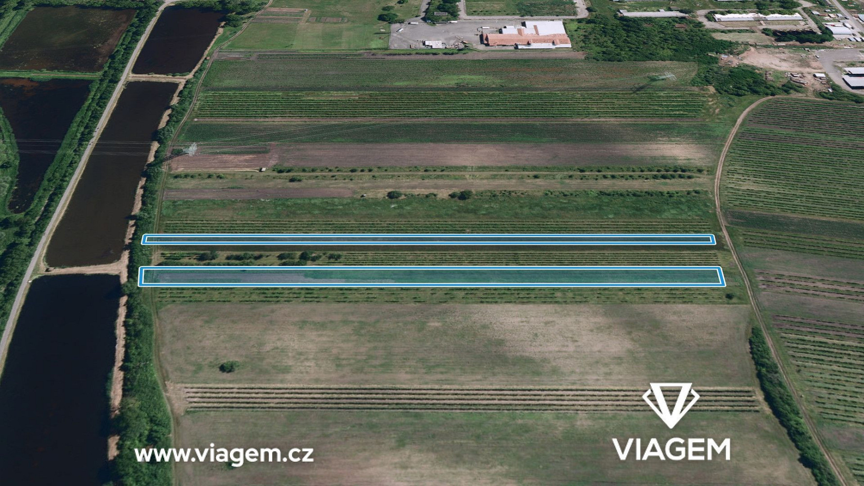 Prodej pole 2 919 m²