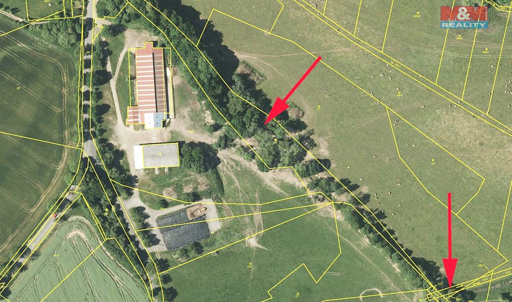 Prodej louky 3 245 m², Dlažov – náhled fotky 5