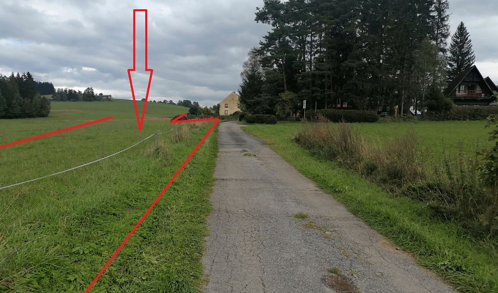 Prodej louky 35 936 m², Černá v Pošumaví – náhled fotky 9