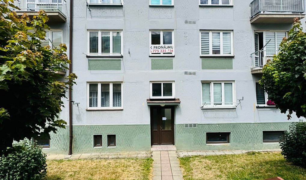 Pronájem bytu 1+1 40 m², Bukovany – náhled fotky 10