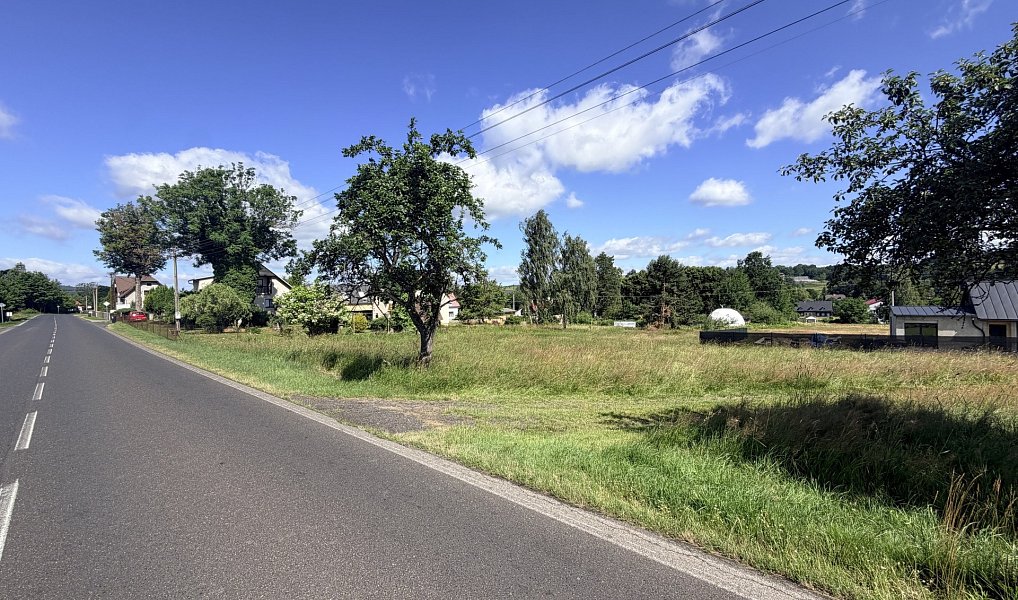 Prodej stavebního pozemku 3 451 m², Horní Podluží – náhled fotky 5