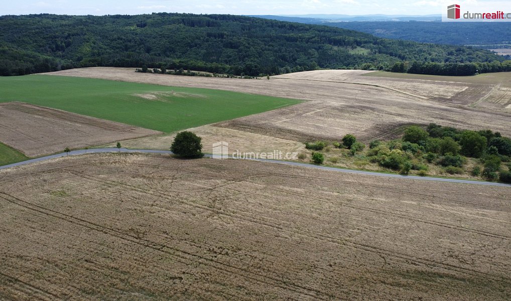 Prodej pozemku 3 943 m², Sýkořice – náhled fotky 8