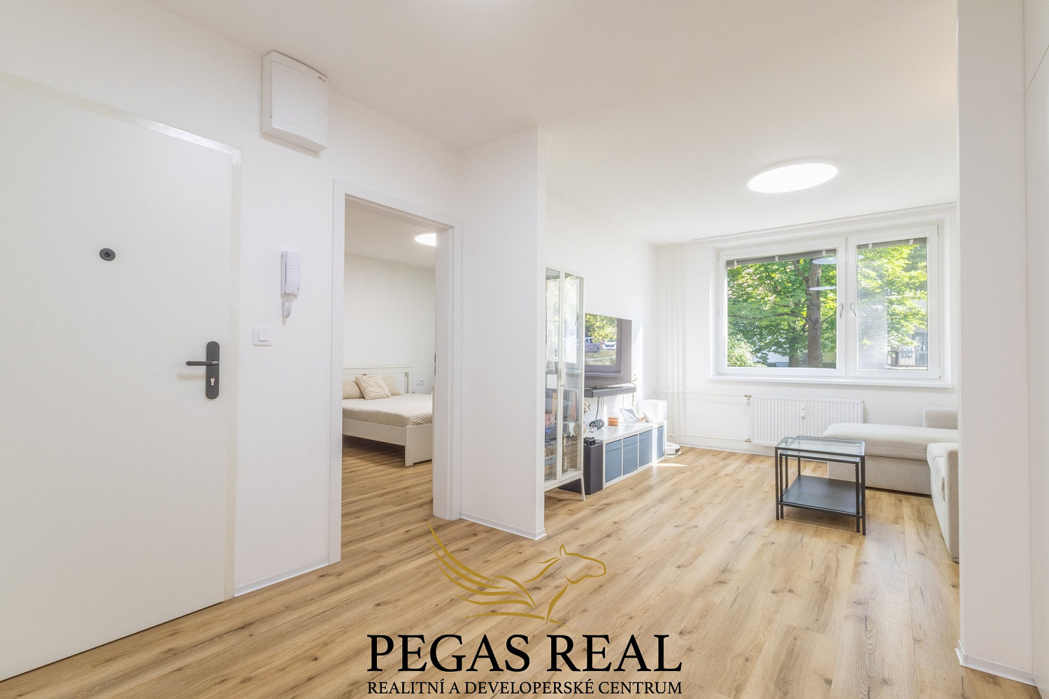 Pronájem bytu 2+kk 50 m² – pohled 2