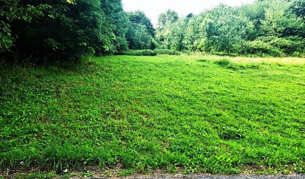 Prodej zahrady 3 200 m², Třinec – náhled fotky 3
