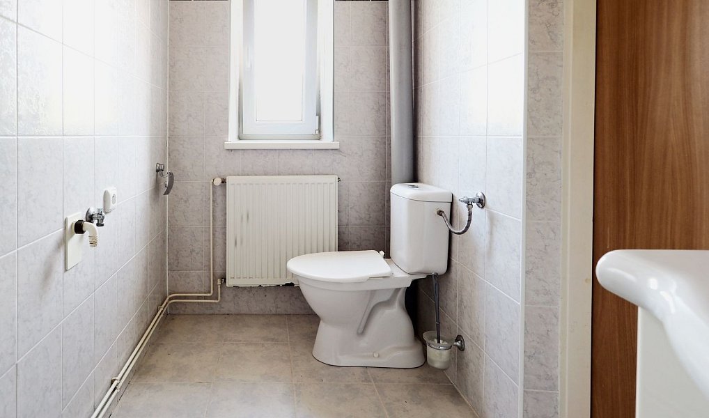 Pronájem domu 197 m² s pozemkem 1 010 m², Nemochovice – náhled fotky 16